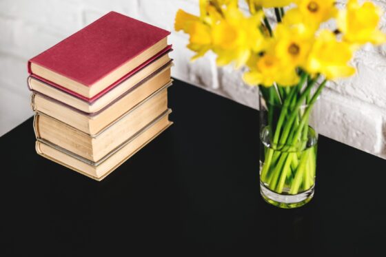 5 Best Cryptocurrency Books For Beginners (Even In 2022)